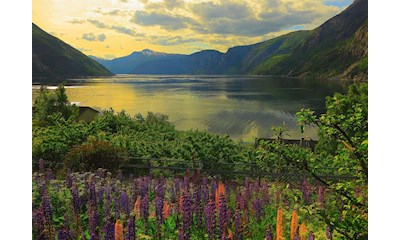 Fjord in Norwegen