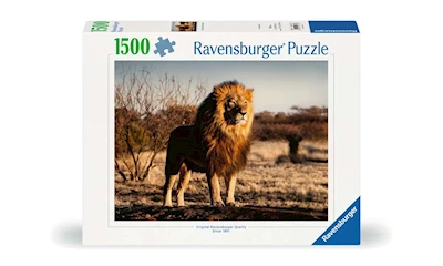 Der Löwe. Der König der Tiere