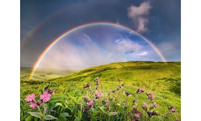 Spektakulärer Regenbogen