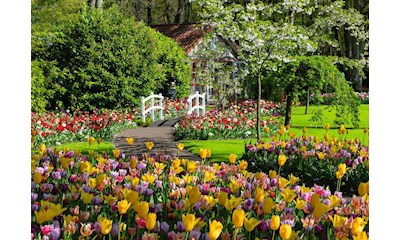 Keukenhof Gardens, Netherlands