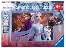 Frozen, Frostige Abenteuer